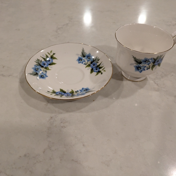 Bone China Queen Anne England  Blue Floral Teacup and Saucer Set with Gold Trim - Picture 3 of 4